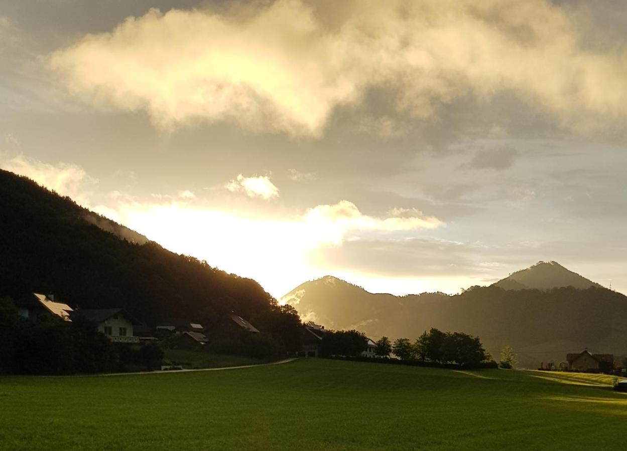 Hof Zur Steinwaend Acomodação com café da manhã Micheldorf in Oberosterreich Exterior foto