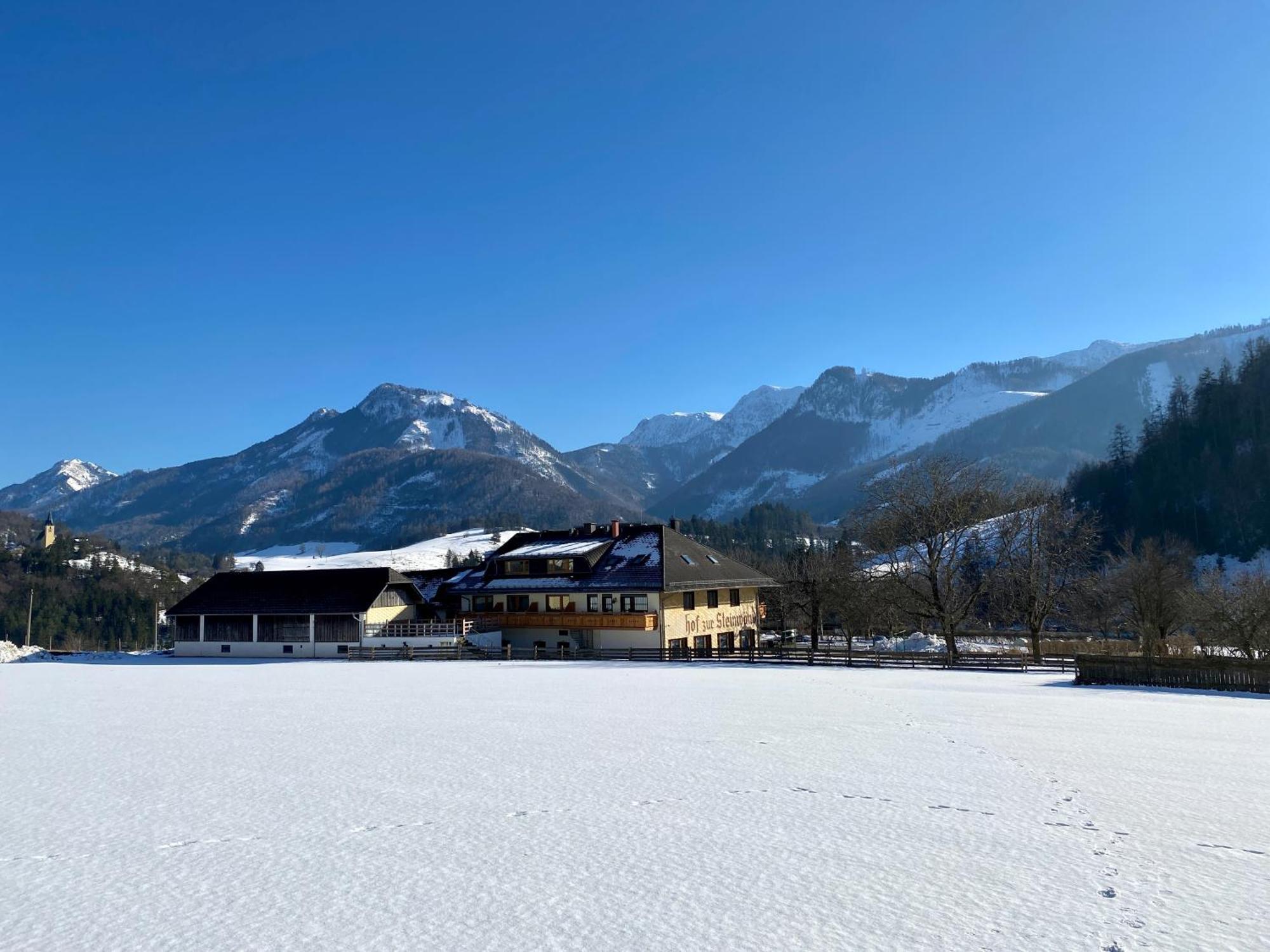 Hof Zur Steinwaend Acomodação com café da manhã Micheldorf in Oberosterreich Exterior foto